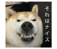816718735
