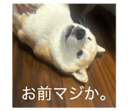 816718740