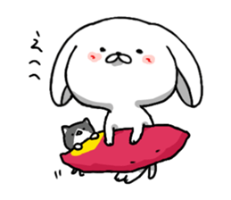 8167215