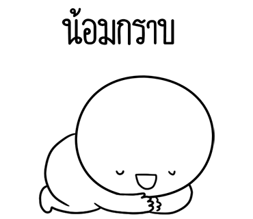 ลายที่ 13