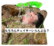 816738502