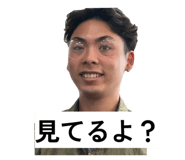 816738515