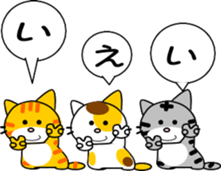 816744075