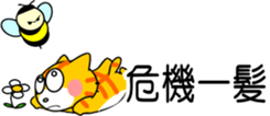 816744077