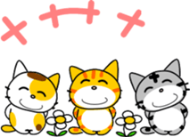 816744104