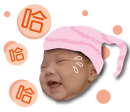 81674560