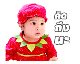 81675491