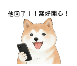 816787394