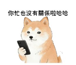 816787395