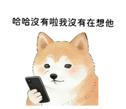 816787397