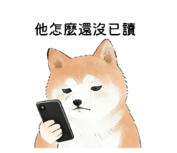 816787400
