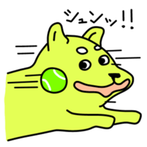 8167962