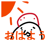 816802164