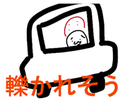 816802165