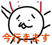 816802173
