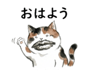 816806585