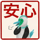 816807058