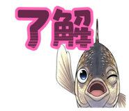 816810655