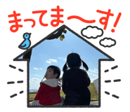 816816682