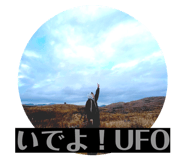 816823162
