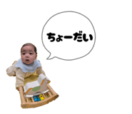 816908823