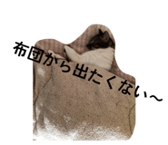 816937049