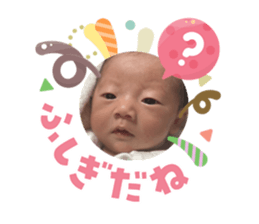 816942478