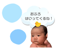 816942521