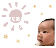816942528