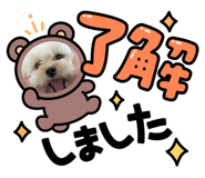 816948111