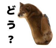 816952757
