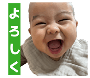 816962328