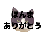 816976229