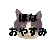 816976231