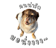 817022676