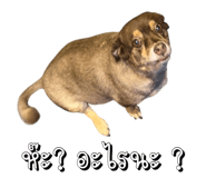 817022678