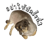 817022679