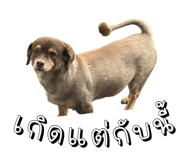 817022681