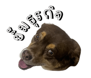 817022682
