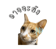 817022691