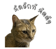 817022692