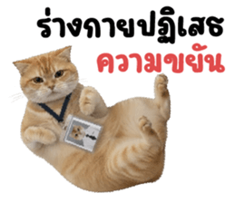 ลายที่ 1