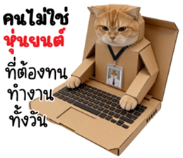 ลายที่ 7