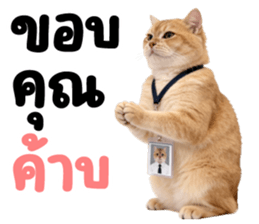 ลายที่ 9