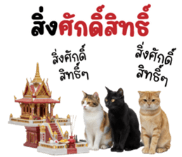 ลายที่ 11