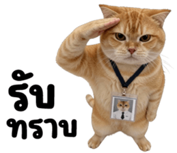 แมวส้มส้ม ❤️ ตัวตึงออฟฟิศ 3 รูปที่ 8