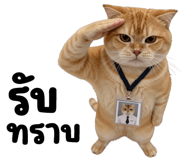 ลายที่ 8