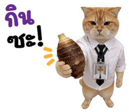 ลายที่ 17