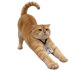 ลายที่ 19