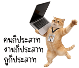 แมวส้มส้ม ❤️ ตัวตึงออฟฟิศ 3 รูปที่ 13